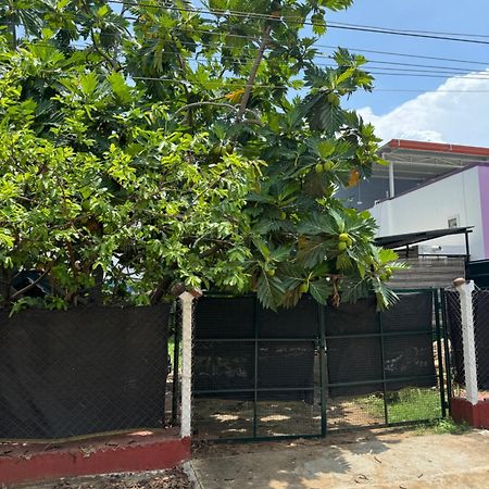 The Lazy Palm Shack Otel Coimbatore Dış mekan fotoğraf