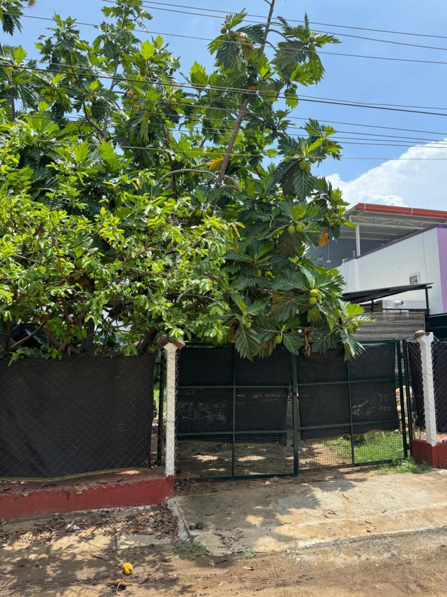 The Lazy Palm Shack Otel Coimbatore Dış mekan fotoğraf